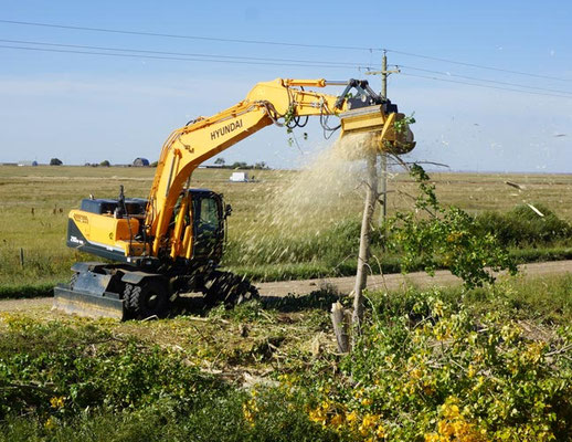 SEPPI M. BMS Baggermulcher