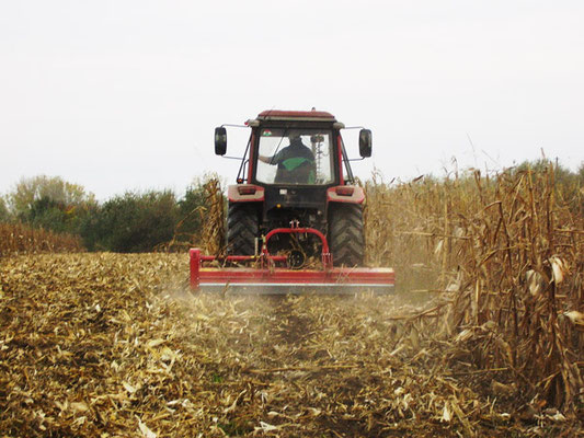 SEPPI M. Schlegelmulcher SMO rev cf