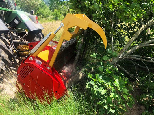 SEPPI M. Forstmulcher MIDIFORST dt