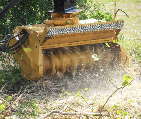 SEPPI M. BMS Baggermulcher