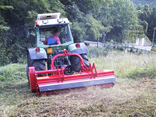 SEPPI M. Schlegelmulcher SMO rev cf