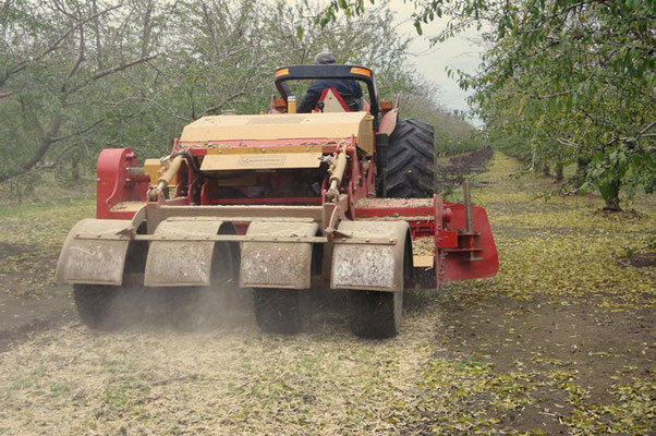 SEPPI M. WBS pick-up Mulcher