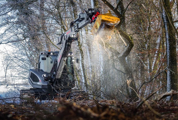 SEPPI M. BMS Baggermulcher