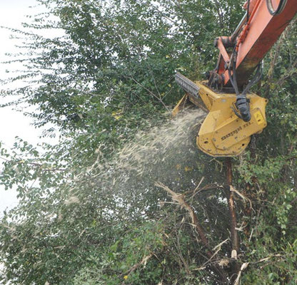 SEPPI M. BMS Baggermulcher