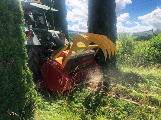 SEPPI M. Forstmulcher MIDIFORST dt