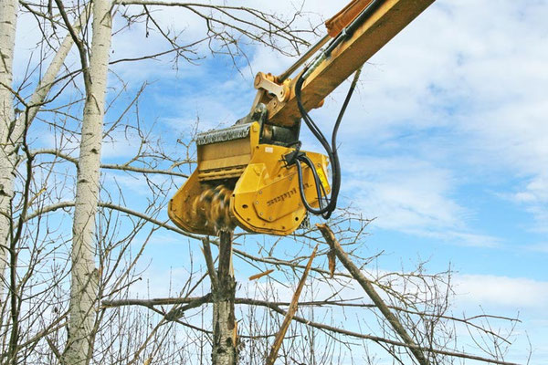 SEPPI M. BMS Baggermulcher