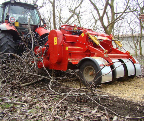 SEPPI M. WBS pick-up Mulcher