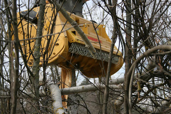 SEPPI M. BMS Baggermulcher