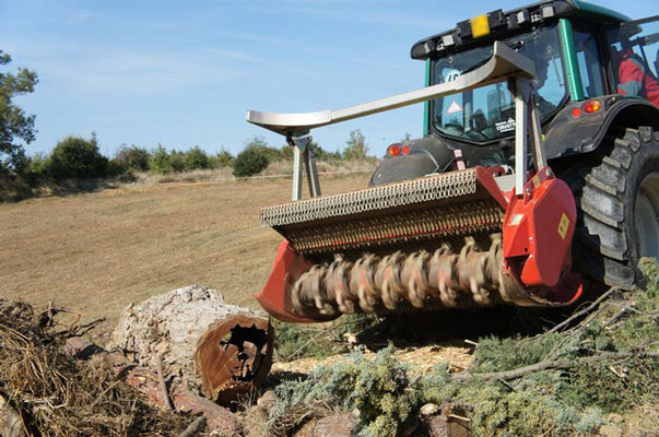 SEPPI M. Forstmulcher MIDIFORST dt