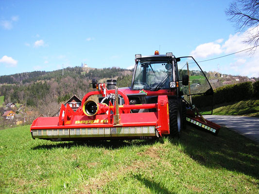 SEPPI M. Schlegelmulcher SMO rev cf