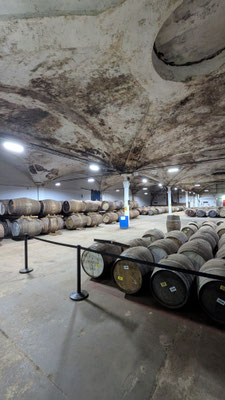 Warehouse Deatson glacière