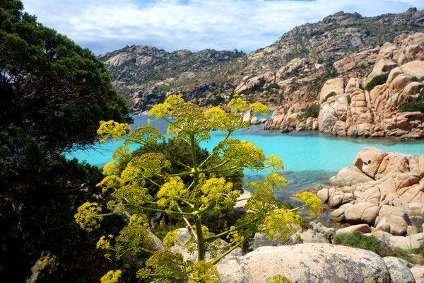 kayak de mer en Sardaigne (île Caprera)