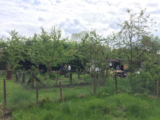 Der Gemeinschafts-Gemüse-Garten in Otterndorf