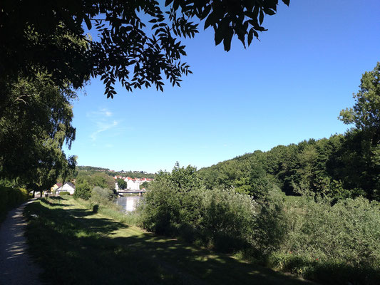 gleich hinter Maggie ging es ein paar Schritte hinauf zu einem Fußweg die Donau entlang