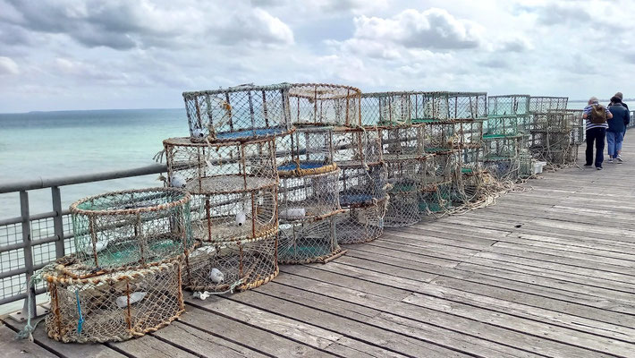 Nicht für Austern, diese Körbe dienen dem Fischfang