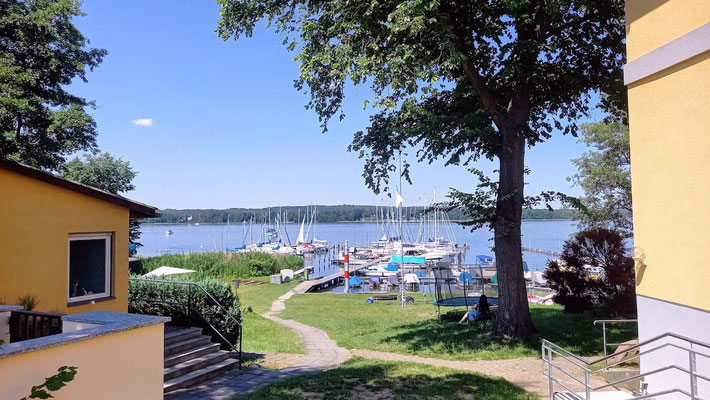 der Scharmützelsee ist groß genug für kleine Häfen mit Seegelbooten