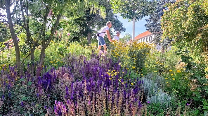 der Kurpark steht in voller Blüte