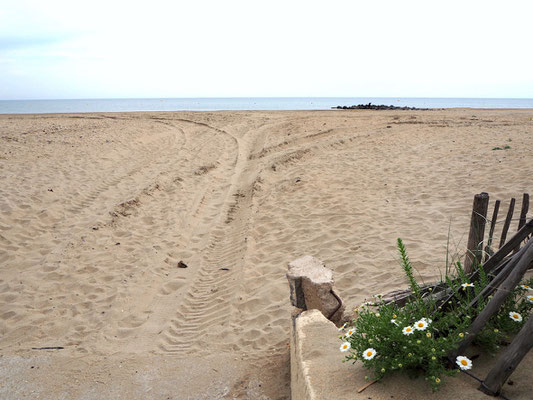 breiter und kilometerlanger Sandstrand