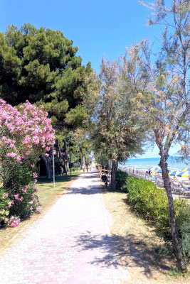 neben der Strandpromenade