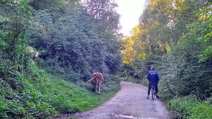 nachdem wir kilometerweit niemandem begegnet waren, wollten wir an dieser Stelle nicht stören und traten den Rückweg an