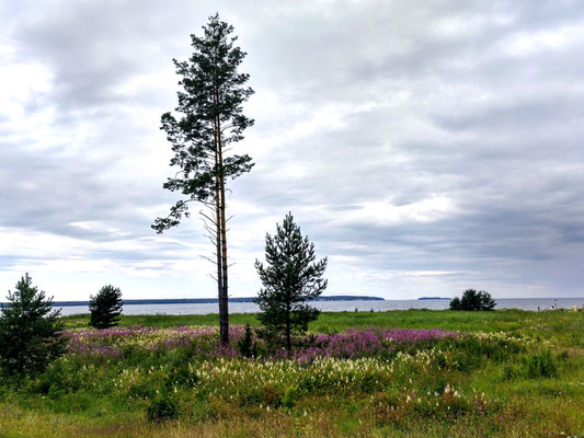 wunderschöne Landschaft im Lahemaa Rahvuspark 