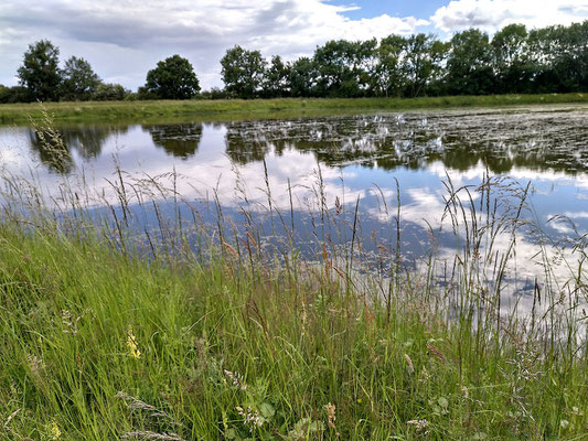 Fischteich am Ortsrand