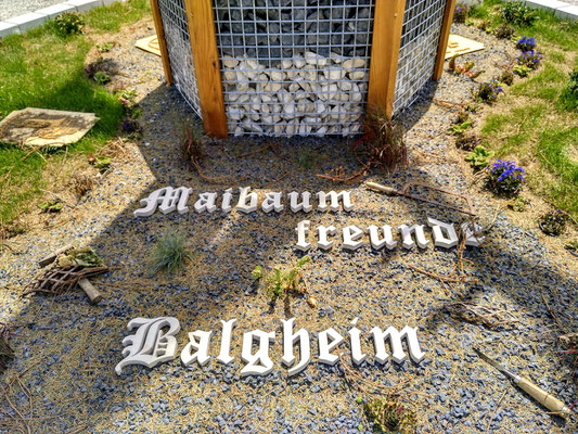 der Stolz von Balgheim:  "Schönster Maibaum Bayerns 2019"