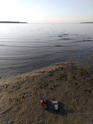 der Punkt im Wasser fast am Horizont gehört zu den Schlappen