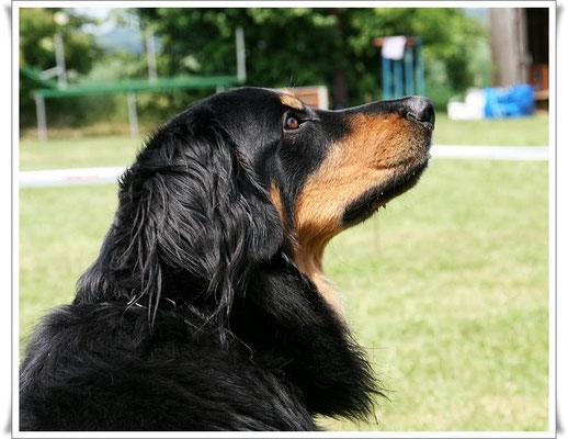 Balou, Juni 2010