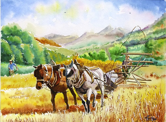 Moisson d'antan: 40 cm x 30 cm