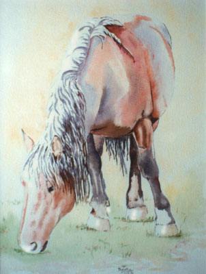 Cheval: pastel sur papier dessin, 100 cm x 60 cm