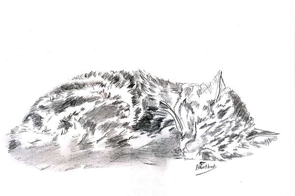 Crayon- le chat 3