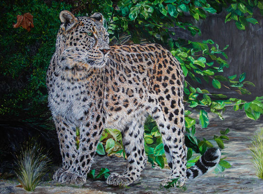"Amur Leopard" Oil painting on canvas, Size 24"x32" (60cm x 80 cm) Victoria Kolomy