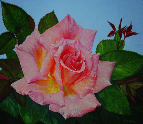  Rose "Hope"  Oil painting on canvas  Size 12"x14" (30cm x 35 cm) Victoria Kolomy