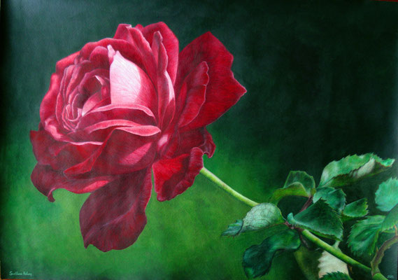 "Rose" Gouache (plus watercolor) on watercolor paper Size 22,95×16,37 in. (58,3×41,6 cm) Svetlana Kolomy