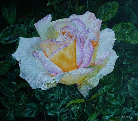 Rose "Faith"  Oil painting on canvas Size 12"x14" (30cm x 35 cm) Victoria Kolomy