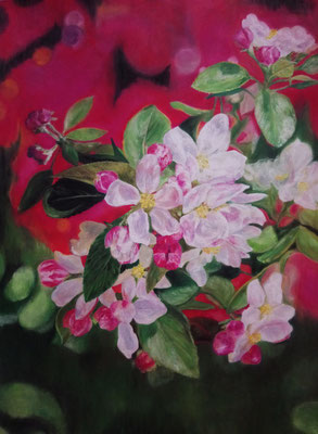 "Blossom" Soft oil pastel on paper Size 14 x 19.69 in. (35.6 x 50 cm) Veronica Kolomy