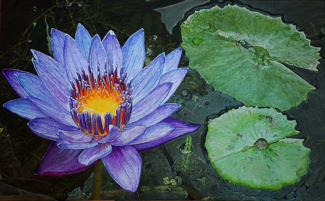 "Water lily" Oil painting on canvas, Size 80 x 50 cm (32"x20") Victoria Kolomy