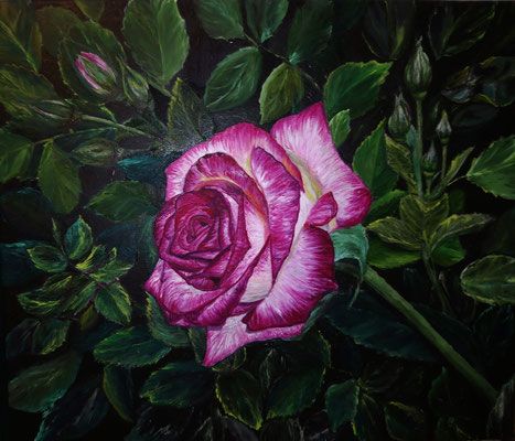 Rose"Bella vita" Oil painting on canvas , Size 11,8"x15,8" (30cm x 40 cm) Victoria Kolomy