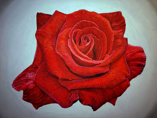 "Dark Red Velvet Rose" Oil painting on canvas Victoria Kolomy