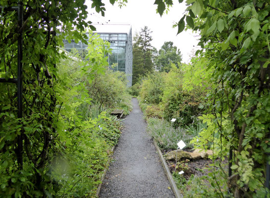 Jena, Botanischer Garten