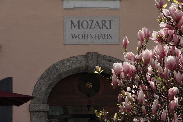 ..Guided Salzburg tour with Mozart museums..