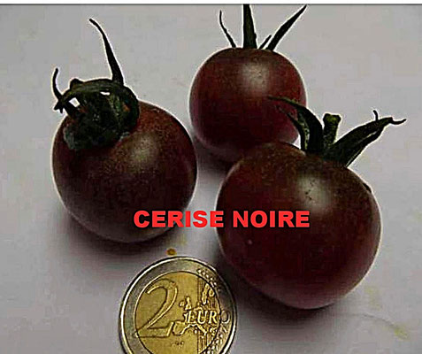 CERISE NOIRE