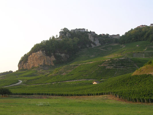 Chateau-Châlon - vineyard