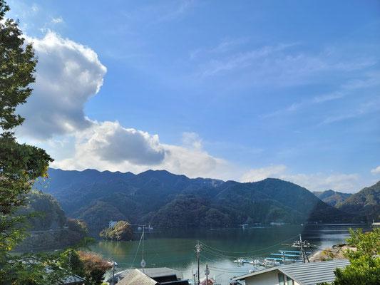 11月9日現在の相模湖