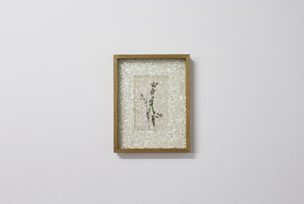 bee orchid, 2019, early 20th-century botany illustration and printed honeycomb glass, 37x29 cm