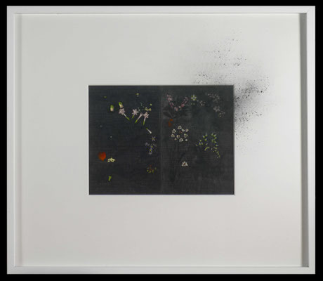 pollen, 2016, graphite on early 20th-century entomological illustration, graphite, graphite powder, illustration 32x41,5 cm, frame 73x85 cm