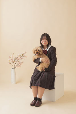 犬の写真