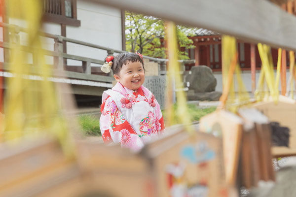 姫路総社ロケーションフォト