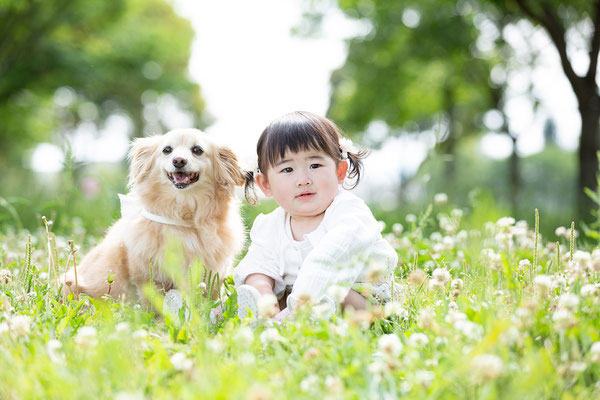 犬と家族の写真撮影